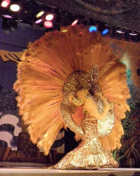 Sambashow/Rio de Janeiro