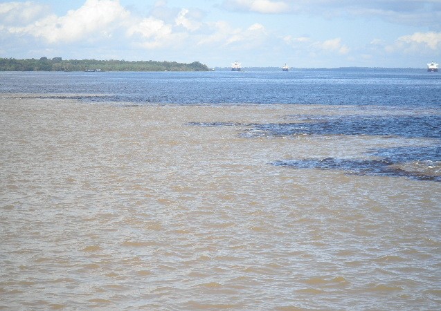 Encontro das Aguas-Zusammenfluss von Amazonas und Rio Negro