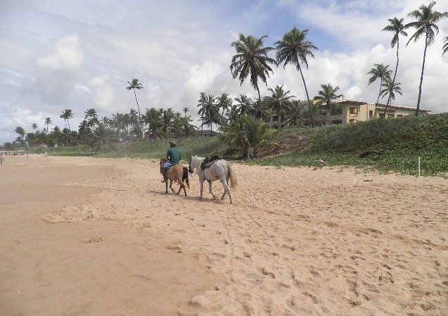 Praia do Forte/Costa dos Coqueiros
