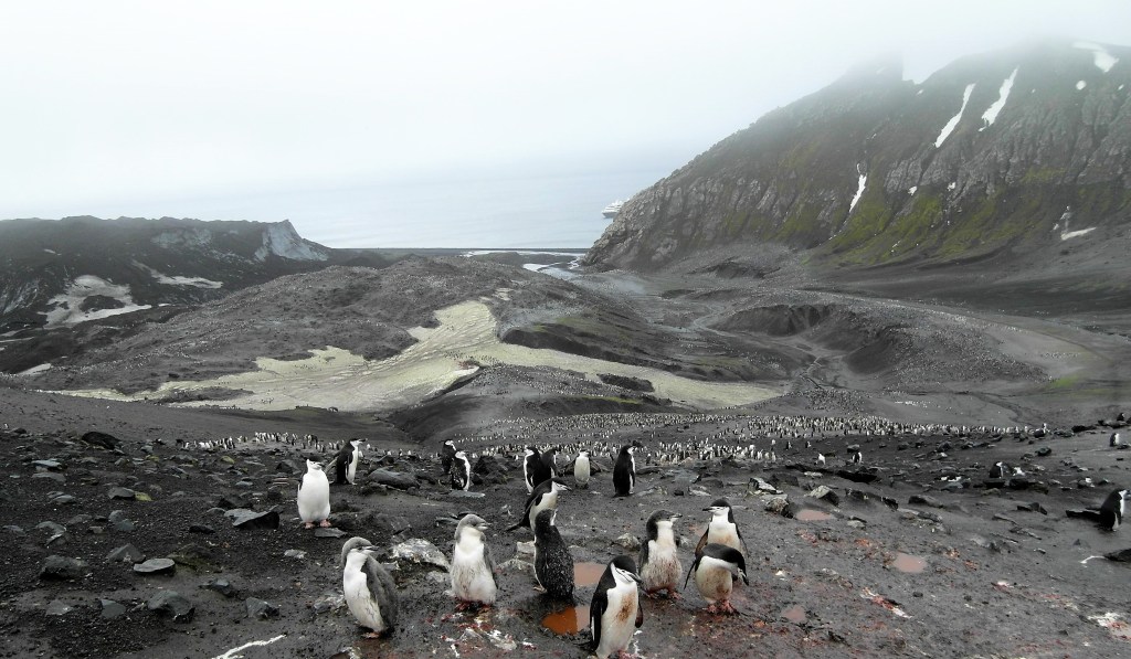 Deception Island