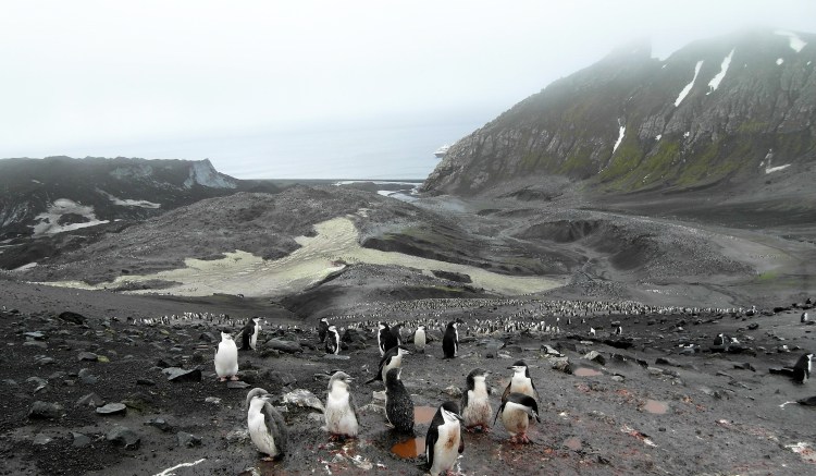 Deception Island