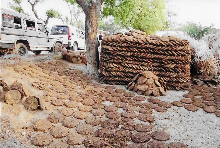 Kuhfladen zum Heizen